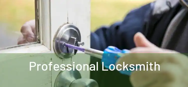  Professional Locksmith 